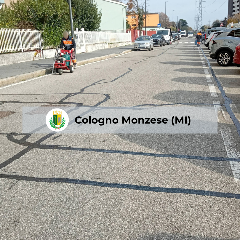 Comune di Cologno Monzese (MI)